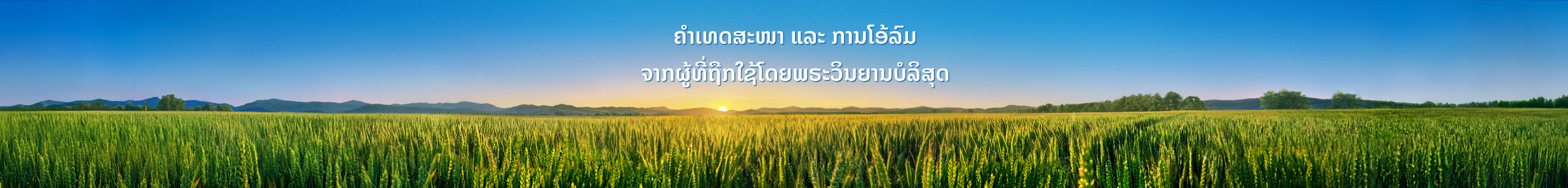 banner图